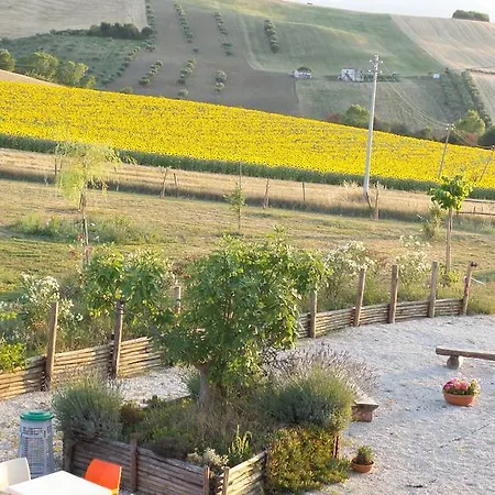 Il Casale Dei Ciliegi * Sant'Omero