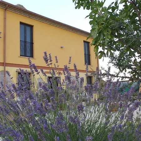 Il Casale Dei Ciliegi Sant'Omero