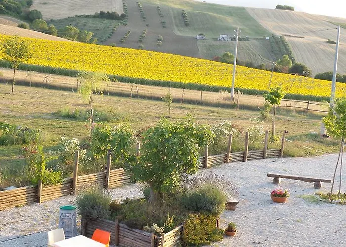 Il Casale Dei Ciliegi * Sant'Omero